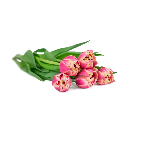 Custom Double Tulip Bouquet